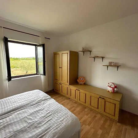 Beachfront Olive Retreat - Your Escape To Peace *