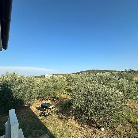 Vikendica Beachfront Olive Retreat - Your Escape To Peace
