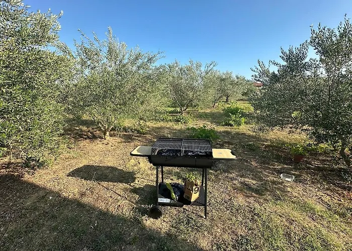 Beachfront Olive Retreat - Your Escape To Peace *